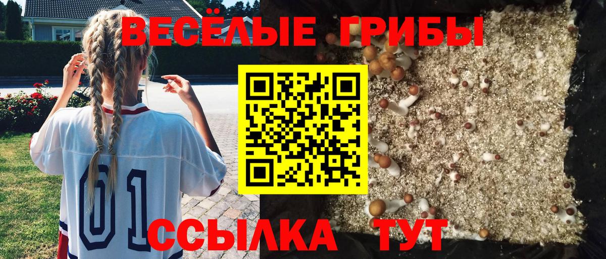 Борзя  НБОМе  Канабис  Кокаин  Гашиш  A-PVP СК кристаллы  Метадон  Как найти наркотики?  Мефедрон   Вход с VPN  Экстази 