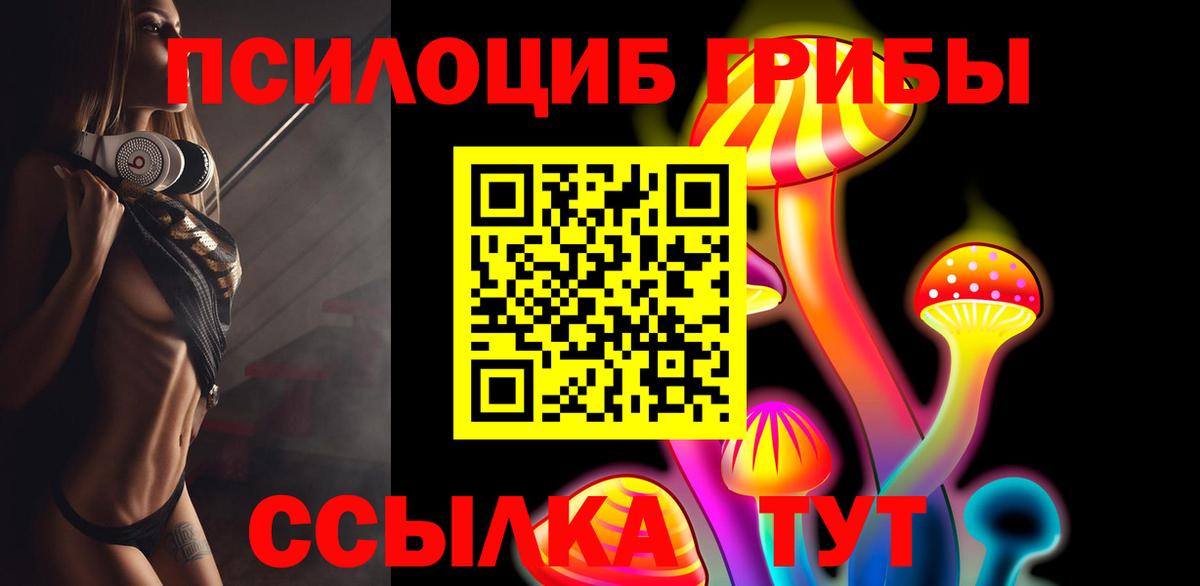 Борзя  купить наркотики сайты  Вход с VPN  Галлюциногенные грибы MAGIC MUSHROOMS 